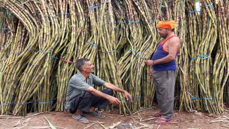 Why sugarcane farmers don't want Brazilian President as chief guest on Republic Day Why sugarcane farmers don't want Brazilian President as chief guest on Republic Day