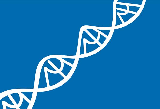 Illustration by Raj Verma Illustration by Raj Verma