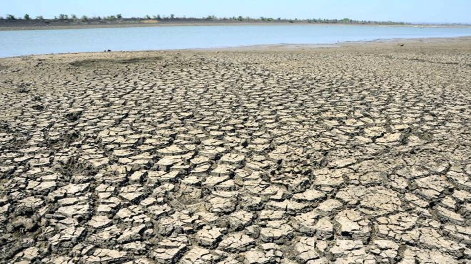 Representative Image Representative Image