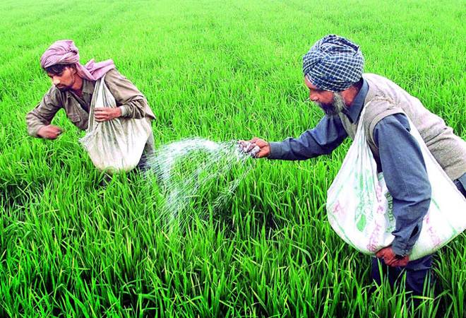 Budget 2020: FM Nirmala Sitharaman may announce import duty cut on raw material for fertiliser industry