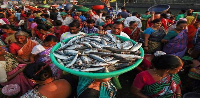 Budget 2020: Modi govt to raise fishery exports to Rs 1 lakh crore by 2024-25 Budget 2020: Modi govt to raise fishery exports to Rs 1 lakh crore by 2024-25