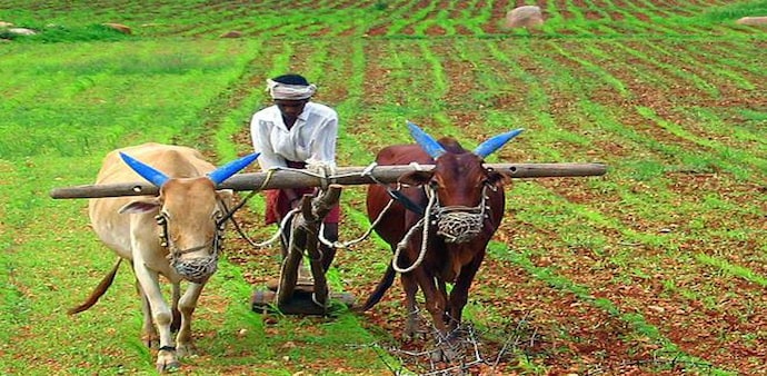 As on February 20 this year, 8.46 crores farmer families have been given the benefits As on February 20 this year, 8.46 crores farmer families have been given the benefits