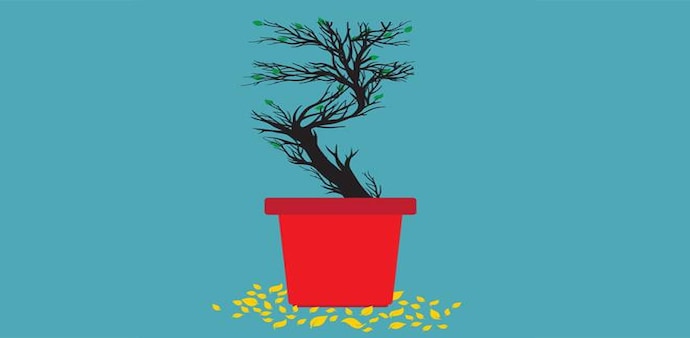 Illustration by Raj Verma Illustration by Raj Verma