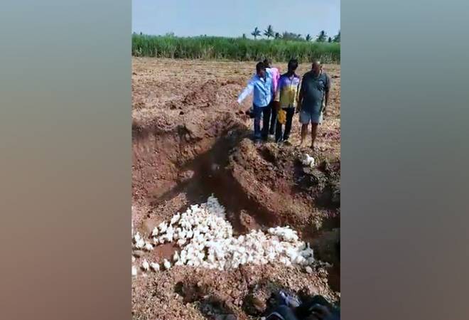 A grab from the video shot by Najeer Ahmed Makandar A grab from the video shot by Najeer Ahmed Makandar