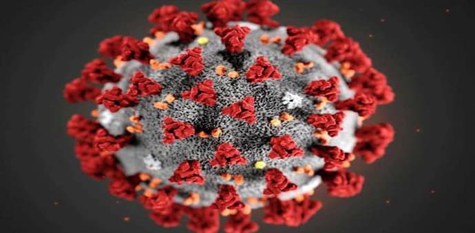 Coronavirus has so far infected more than 13,000 Americans claimed 230 lives Coronavirus has so far infected more than 13,000 Americans claimed 230 lives