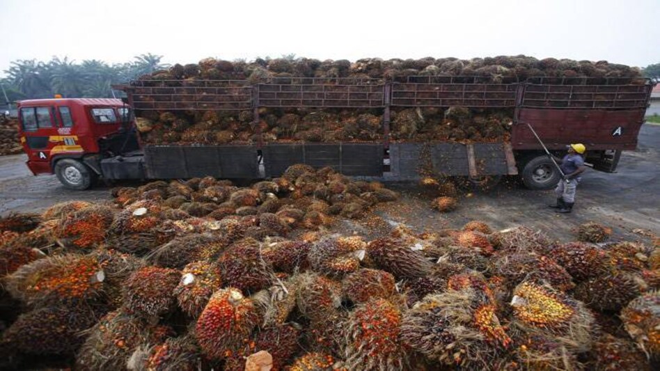 The palm oil dispute had started in January The palm oil dispute had started in January