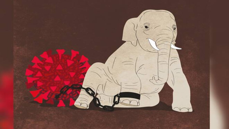 Illustration by Raj Verma Illustration by Raj Verma