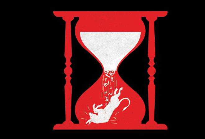 Illustration by Raj Verma Illustration by Raj Verma