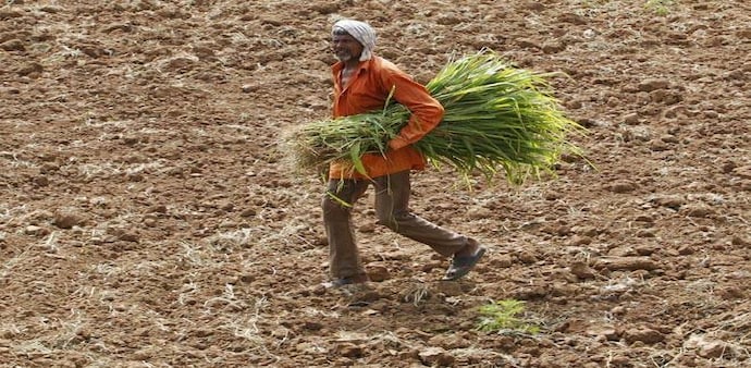 Andhra Pradesh provided 10 lakh jobs Andhra Pradesh provided 10 lakh jobs