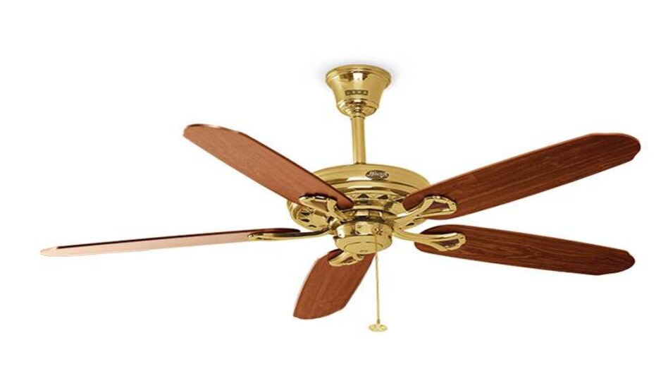 The government recentky allowed electric fan shops to operate under the revised lockdown guidelines The government recentky allowed electric fan shops to operate under the revised lockdown guidelines