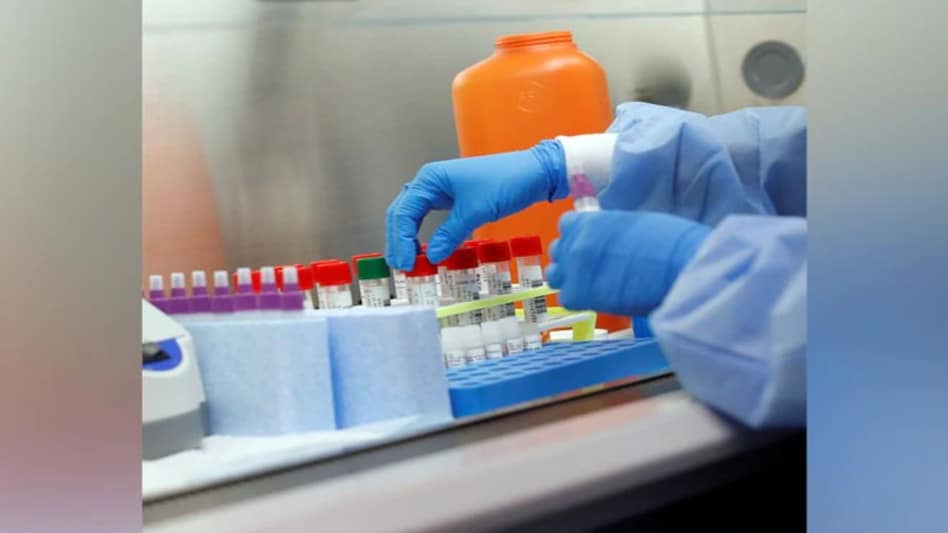 Coronavirus vaccine: India has also made significant strides in the search for a viable coronavirus vaccine Coronavirus vaccine: India has also made significant strides in the search for a viable coronavirus vaccine
