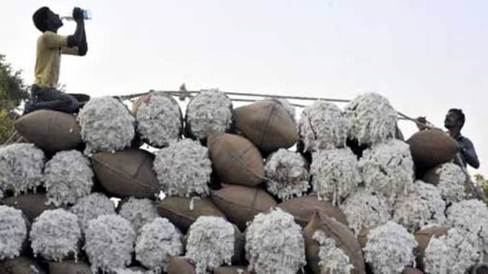 Indian trade body raises cotton export estimate over weak rupee Indian trade body raises cotton export estimate over weak rupee