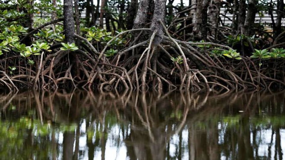 This year, due to the coronavirus pandemic, this day will be celebrated via its first-ever online campaign This year, due to the coronavirus pandemic, this day will be celebrated via its first-ever online campaign