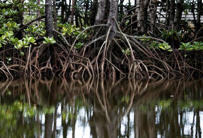 This year's theme is 'Time for Nature' This year's theme is 'Time for Nature'