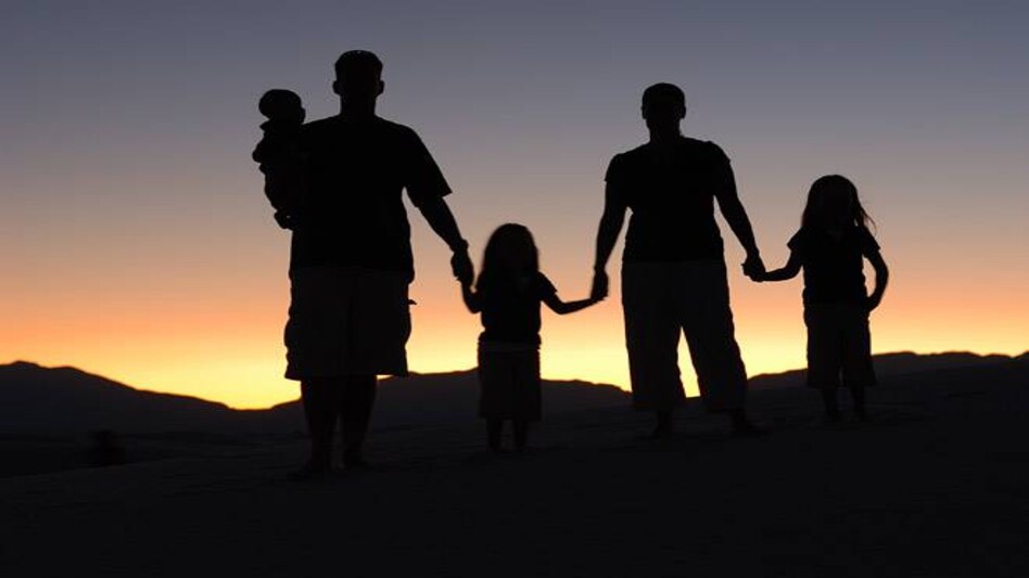 This day was designated by the UN General Assembly in 2012 to recognise a family's primary responsibility to nurture and protect children This day was designated by the UN General Assembly in 2012 to recognise a family's primary responsibility to nurture and protect children