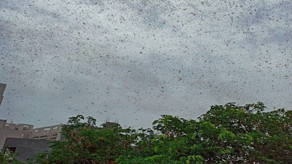 Representative Image Representative Image