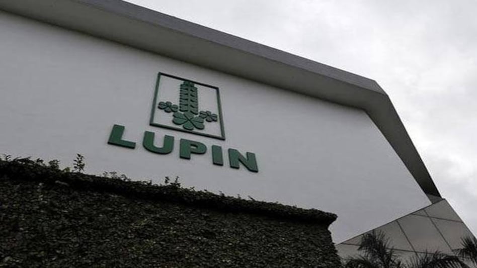 Lupin Lupin