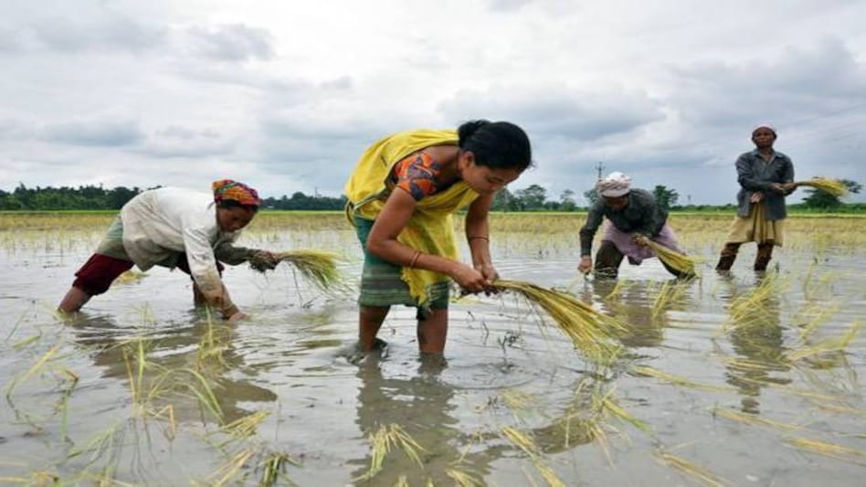 Farmers' Produce Trade and Commerce (Promotion & Facilitation) Ordinance 2020 gives freedom to farmers to sell their crop Farmers' Produce Trade and Commerce (Promotion & Facilitation) Ordinance 2020 gives freedom to farmers to sell their crop