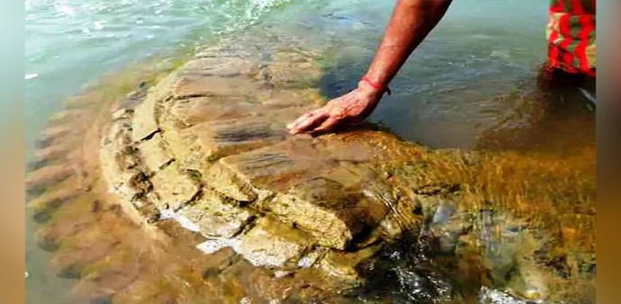 The ancient temple was recently found in the mid-river near Baideswar in the Padmavati area in Cuttack / Image: ANI The ancient temple was recently found in the mid-river near Baideswar in the Padmavati area in Cuttack / Image: ANI