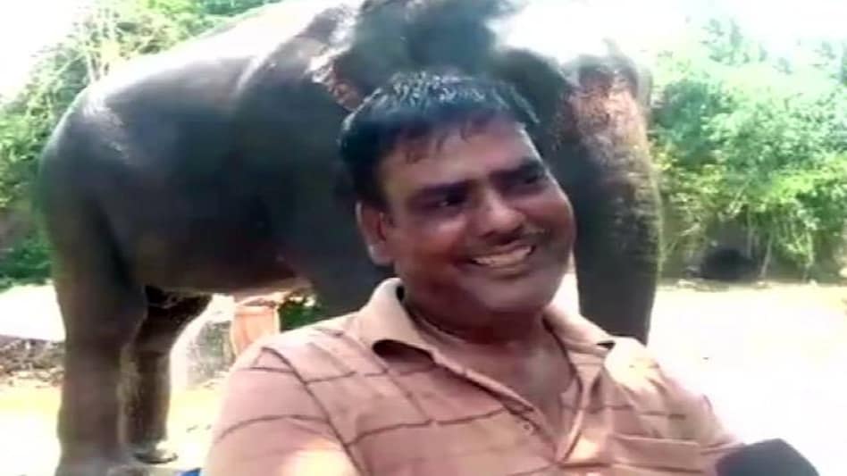Akhtar Imam willed his property worth Rs 5 crore to his two elephants / Image source: ANI Akhtar Imam willed his property worth Rs 5 crore to his two elephants / Image source: ANI