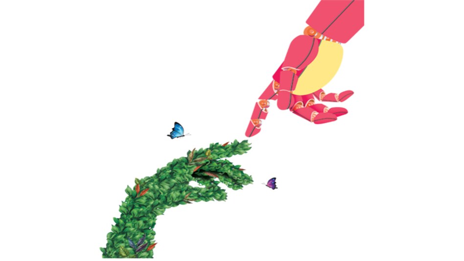 Illustration by Raj Verma Illustration by Raj Verma