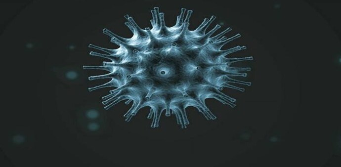 Rapid-antigen tests started in the city on June 18 Rapid-antigen tests started in the city on June 18
