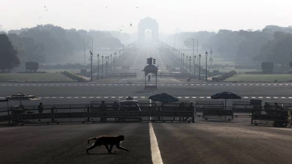 Low pollution during lockdown may have saved 630 lives, $690 mn: Study Low pollution during lockdown may have saved 630 lives, $690 mn: Study