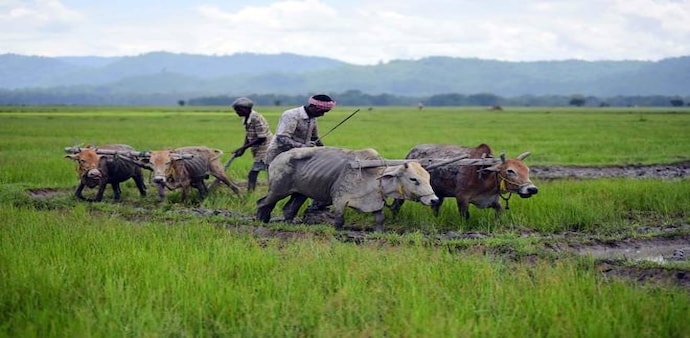 Moreover, the adequate pre-monsoon rainfall followed by the timely arrival of monsoons in most parts of the country has led to an increase in the total kharif sowing area in 2020 in comparison to the last year Moreover, the adequate pre-monsoon rainfall followed by the timely arrival of monsoons in most parts of the country has led to an increase in the total kharif sowing area in 2020 in comparison to the last year