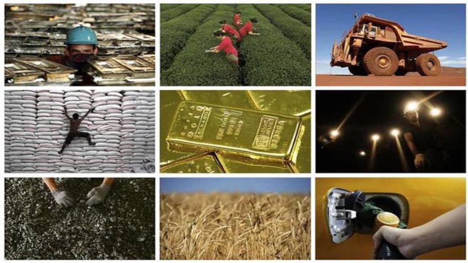 The output of steel, refinery products, cement, natural gas, coal, crude oil and electricity declined by 16.5 per cent, 13.9 per cent, 13.5 per cent, 10.2 per cent, 5.7 per cent, 4.9 per cent and 2.3 per cent, respectively The output of steel, refinery products, cement, natural gas, coal, crude oil and electricity declined by 16.5 per cent, 13.9 per cent, 13.5 per cent, 10.2 per cent, 5.7 per cent, 4.9 per cent and 2.3 per cent, respectively