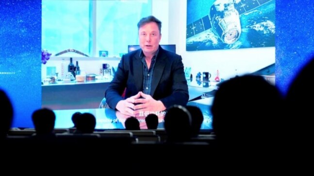 Three little pigs: Musk's Neuralink puts computer chips in animal brains