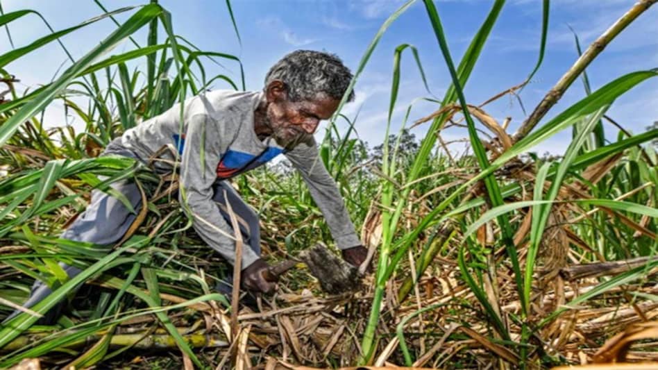 India needs to pay more attention and estimate the true extent of rural distress due to the virus and economic disruptions India needs to pay more attention and estimate the true extent of rural distress due to the virus and economic disruptions