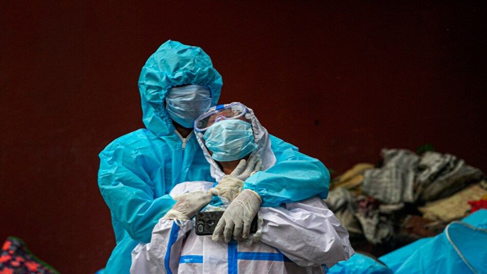 The study reveals there are distinct mutations among viruses collected at different time points The study reveals there are distinct mutations among viruses collected at different time points