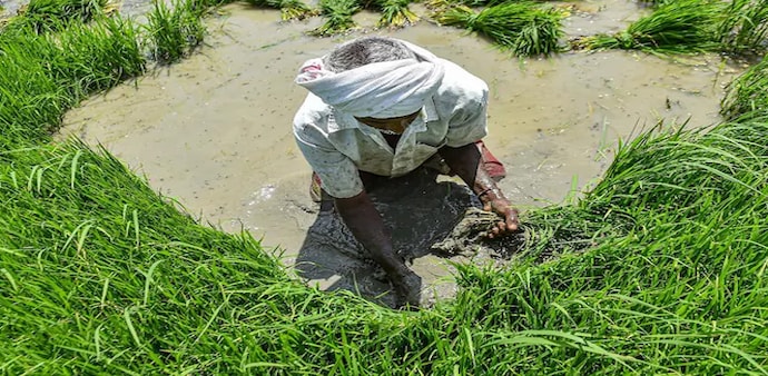 The new agriculture reforms usurp state governments' power to regulate agriculture produce markets The new agriculture reforms usurp state governments' power to regulate agriculture produce markets