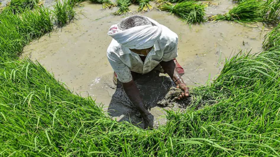 The new agriculture reforms usurp state governments' power to regulate agriculture produce markets The new agriculture reforms usurp state governments' power to regulate agriculture produce markets