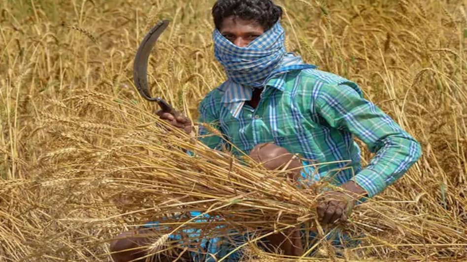 The much-hyped Agriculture Infrastructure Fund of Rs 1 lakh crore is a misleading scheme since the government is not going to set up a fund or provide loans to farmers. (Photo: PTI) The much-hyped Agriculture Infrastructure Fund of Rs 1 lakh crore is a misleading scheme since the government is not going to set up a fund or provide loans to farmers. (Photo: PTI)