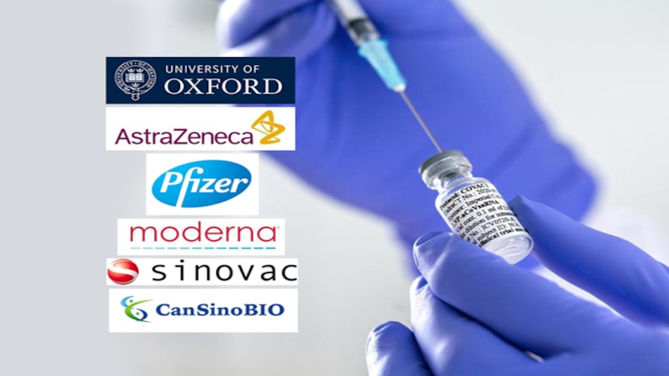 Who will win the race? Who will win the race?