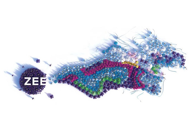 Zee Entertainment sees revival in ad values