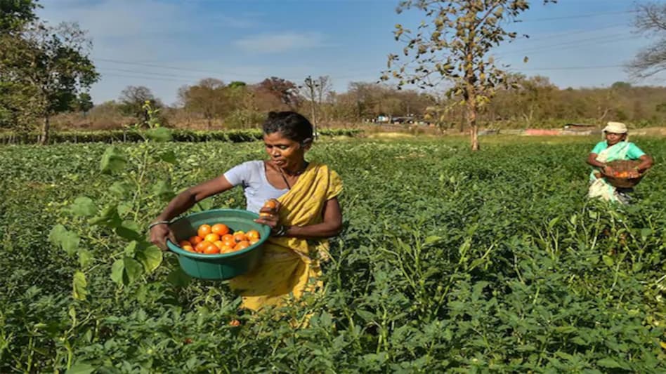 Fruits and vegetables have the highest value of output per hectare followed by condiments and spices, according to SBI Ecowrap report released on Monday, October 12 Fruits and vegetables have the highest value of output per hectare followed by condiments and spices, according to SBI Ecowrap report released on Monday, October 12