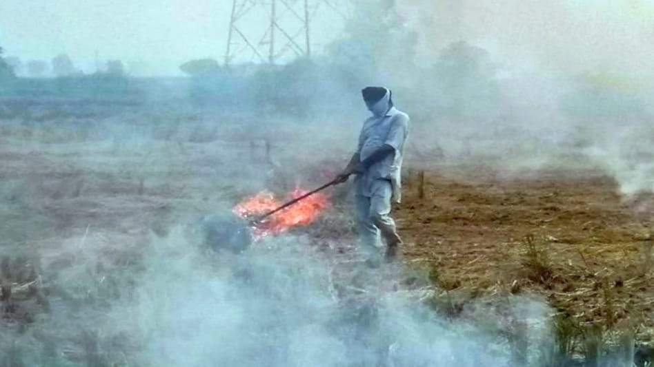 Contrary to the claims of scientific papers, however, farmers of Punjab claim that they have been burning paddy stubble for decades, ever since they were encouraged by the government to grow it to overcome India's food shortage Contrary to the claims of scientific papers, however, farmers of Punjab claim that they have been burning paddy stubble for decades, ever since they were encouraged by the government to grow it to overcome India's food shortage
