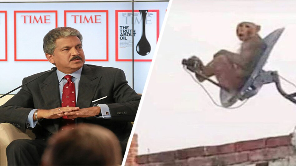 Anand Mahindra had tweeted a photograph of a monkey sitting on a DTH dish Anand Mahindra had tweeted a photograph of a monkey sitting on a DTH dish