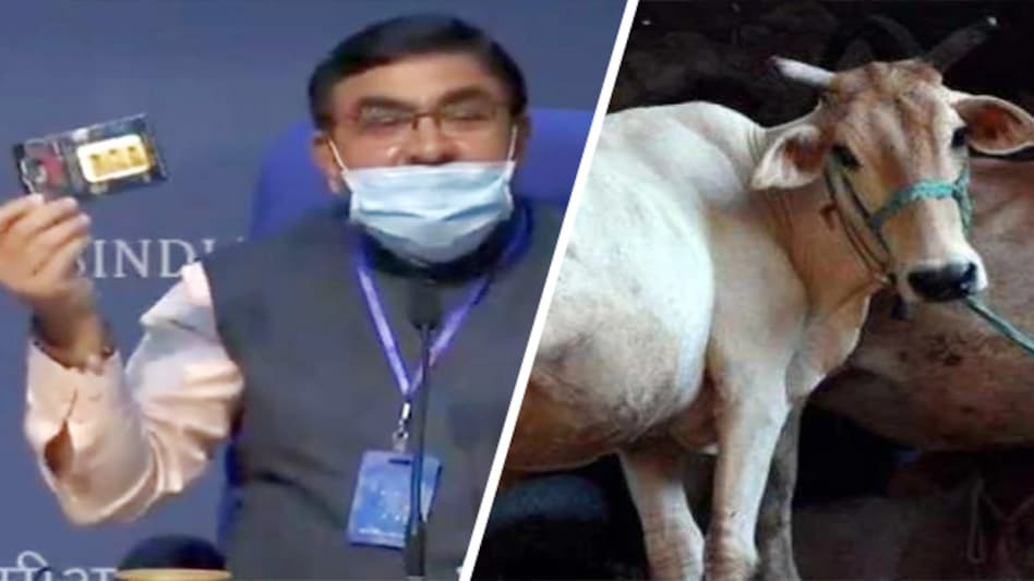 Rashtriya Kamdhenu Aayog (RKA) chairman Vallabhbhai Kathiria made the remarks at the launch of a nationwide campaign 'Kamdhenu Deepawali Abhiyan', aimed at promoting cow dung products Rashtriya Kamdhenu Aayog (RKA) chairman Vallabhbhai Kathiria made the remarks at the launch of a nationwide campaign 'Kamdhenu Deepawali Abhiyan', aimed at promoting cow dung products