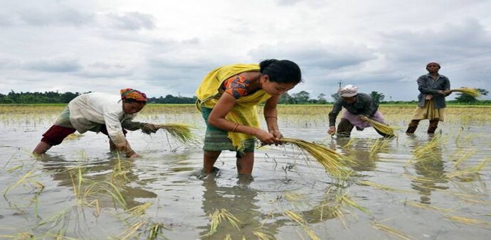 59 per cent respondent farmers want the MSP system to be made a mandatory law in India 59 per cent respondent farmers want the MSP system to be made a mandatory law in India