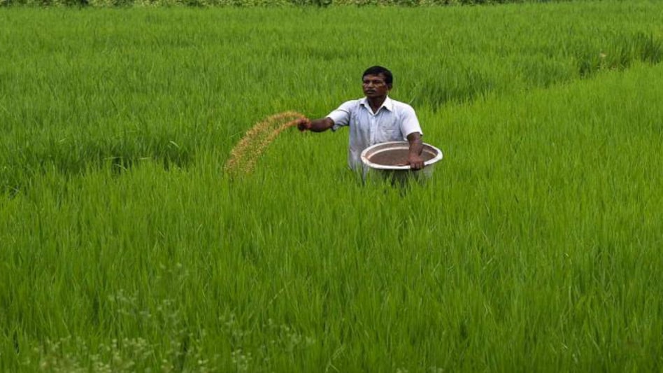 Agricultural exports rise 43.4% to Rs 53,626.6 crore in Apr-Sept Agricultural exports rise 43.4% to Rs 53,626.6 crore in Apr-Sept