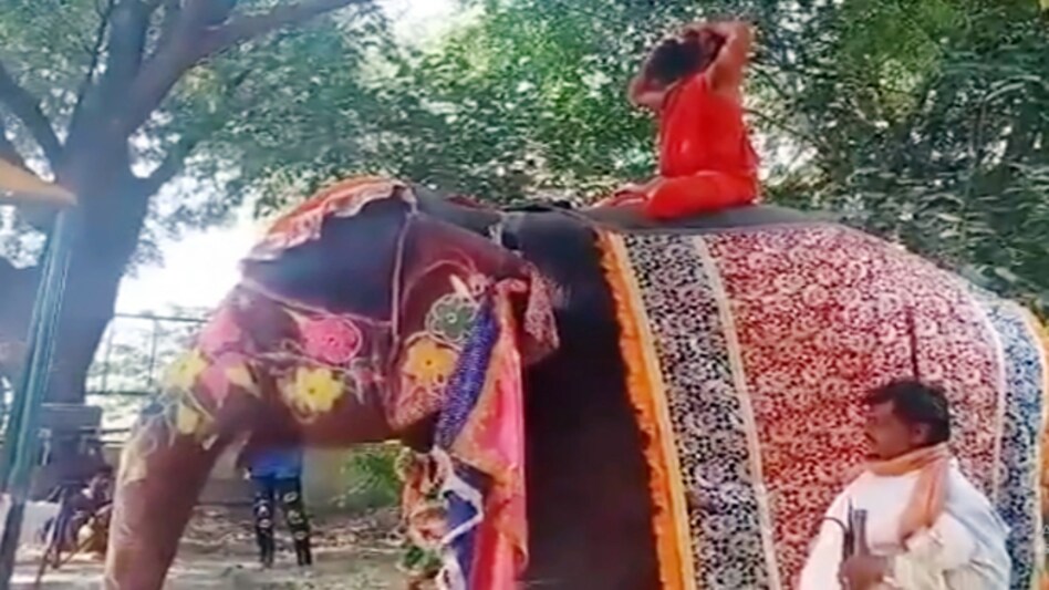 Baba Ramdev performs yoga on elephant's back Baba Ramdev performs yoga on elephant's back