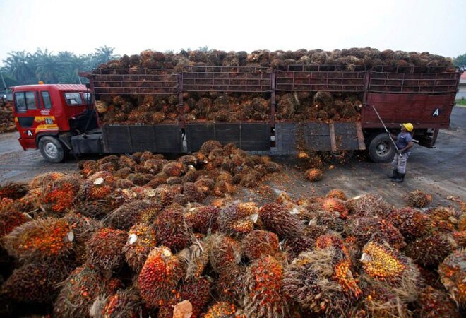 India imports around 9 million tonnes of palm oil annually India imports around 9 million tonnes of palm oil annually