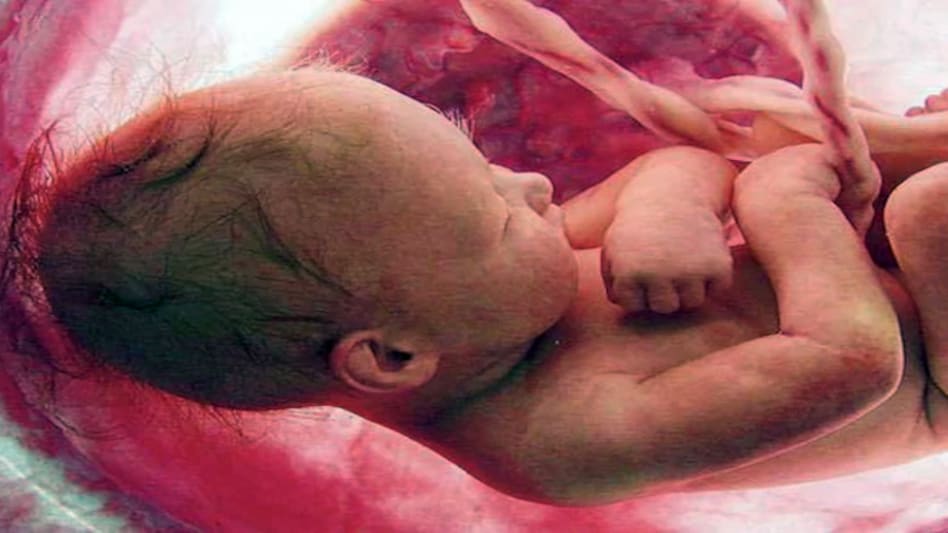 According to a study published in the journal Environment International in early December, microplastic particles traces may have been consumed or breathed in by the mothers According to a study published in the journal Environment International in early December, microplastic particles traces may have been consumed or breathed in by the mothers