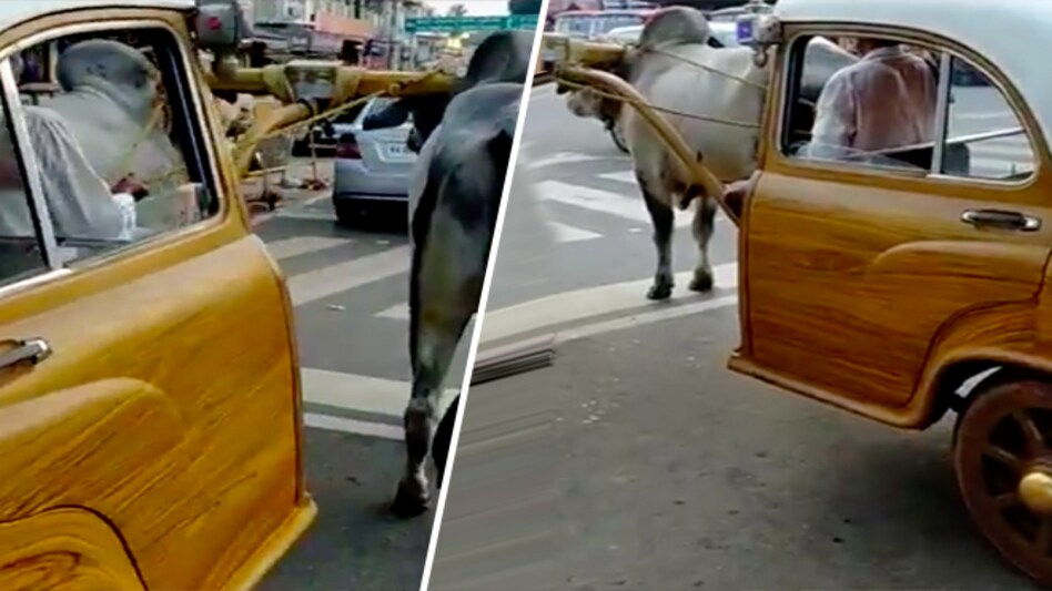 Bullock-car! Anand Mahindra praises this 'renewable energy-fuelled' vehicle Bullock-car! Anand Mahindra praises this 'renewable energy-fuelled' vehicle