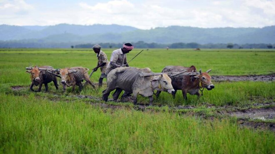 Under the PM-KISAN scheme, a financial benefit of Rs 6,000 per year is provided to small and marginal farmers Under the PM-KISAN scheme, a financial benefit of Rs 6,000 per year is provided to small and marginal farmers