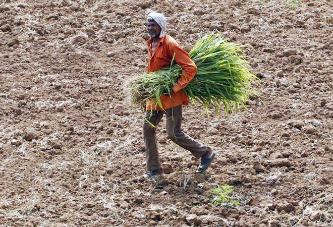 It would hardly be an exaggeration to say that India needs land reform urgently to ensure people's well-being and sustainable economic growth It would hardly be an exaggeration to say that India needs land reform urgently to ensure people's well-being and sustainable economic growth
