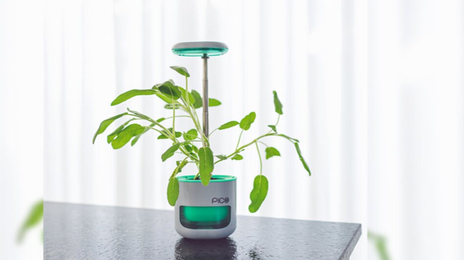 Pico - the smart indoor plant incubator - starts shipping Pico - the smart indoor plant incubator - starts shipping